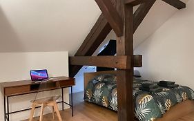 F2 Dans Hotel Particulier En Centre Ville Pietonnier